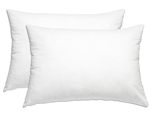 Smart Home Bedding Super Plush Pillow (Queen/Standard, 2 Pack)