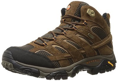 Merrell Men's Moab 2 Mid Waterproof Hiking Boot