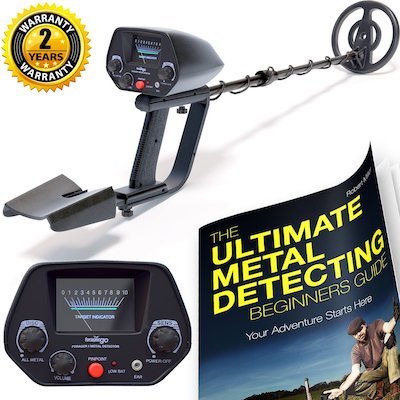 NHI Metal Detector