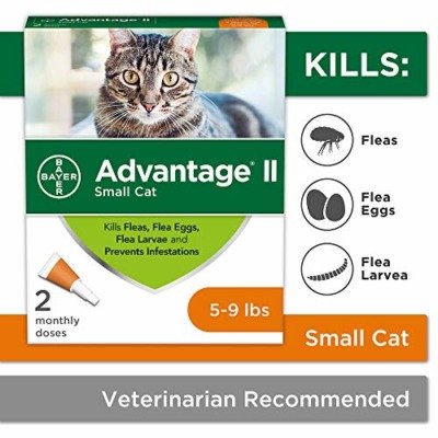 Bayer Advantage II Flea Prevention for Small Cats