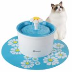 Top 10 Best Pet Water Fountains in 2020