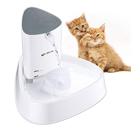 isYoung Cat Fountain LED Pet Water Fountain